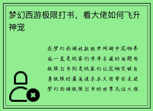 梦幻西游极限打书，看大佬如何飞升神宠